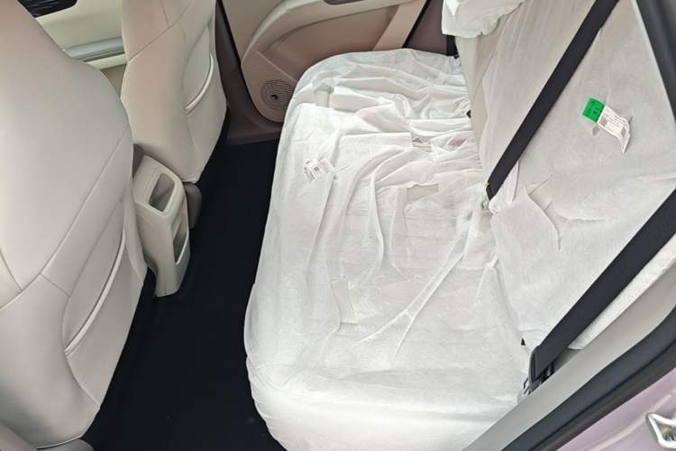 Used Geely Galaxy Geome 2026 410km Aspiration Edition Left Rear Seat