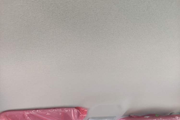 Used Geely Galaxy Geome 2026 Model 410km Carefree Edition Headliner