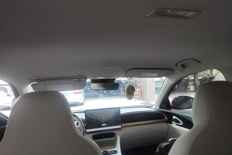 Used Geely Galaxy Geome 2026 Model 410km Exploration Edition Headliner
