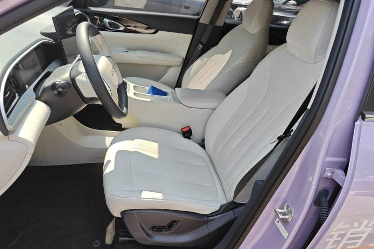 Used Geely Galaxy Geome 2026 Model 410km Freedom Edition Left Front Seat