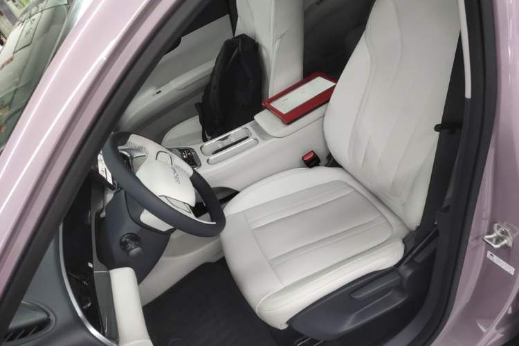 Used Geely Galaxy Geome 2026 Model 410km Freedom Edition Left Front Seat