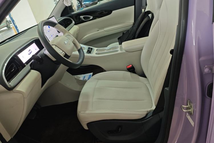 Used Geely Galaxy Geome 2026 480km Exploration Edition Left Front Seat