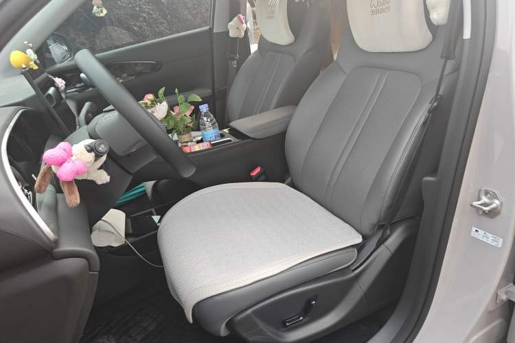 Used Geely Galaxy Geome 2026 480km Exploration+ Edition Left Front Seat