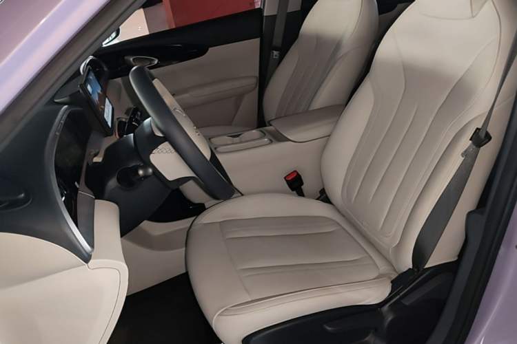 Used Geely Galaxy Geome 2026 Model 310km Youth Edition Left Front Seat
