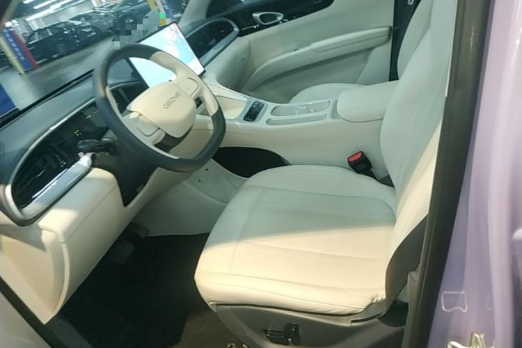 Used Geely Galaxy Geome 2026 Model 410km Exploration Edition Left Front Seat