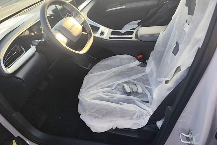 Used Geely Galaxy Geome 2026 Model 310km Youth Edition Left Front Seat