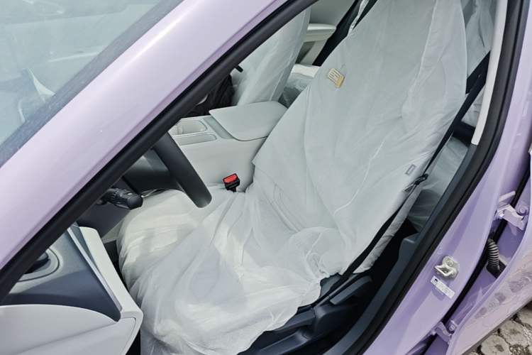 Used Geely Galaxy Geome 2026 Model 410km Carefree Edition Left Front Seat