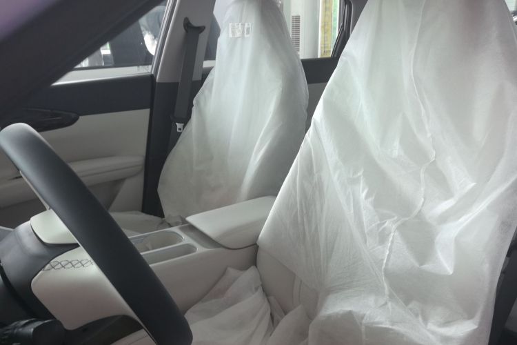 Used Geely Galaxy Geome 2026 Model 310km Dream Edition Left Front Seat