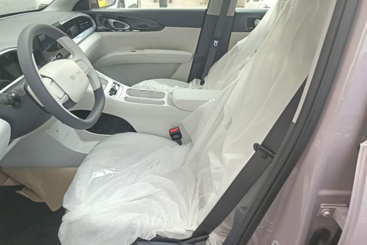 Used Geely Galaxy Geome 2026 Model 310km Youth Edition Left Front Seat
