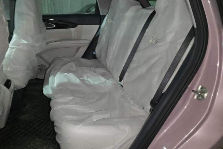 Used Geely Galaxy Geome 2026 Model 310km Dream Edition Left Rear Seat