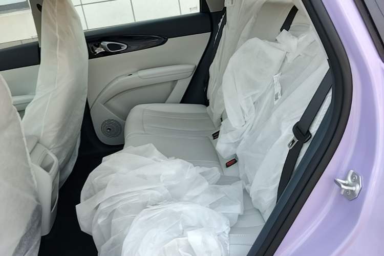 Used Geely Galaxy Geome 2026 Model 310km Youth Edition Left Rear Seat