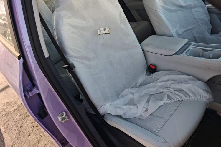 Used Geely Galaxy Geome 2026 Model 310km Youth Edition Right Front Seat