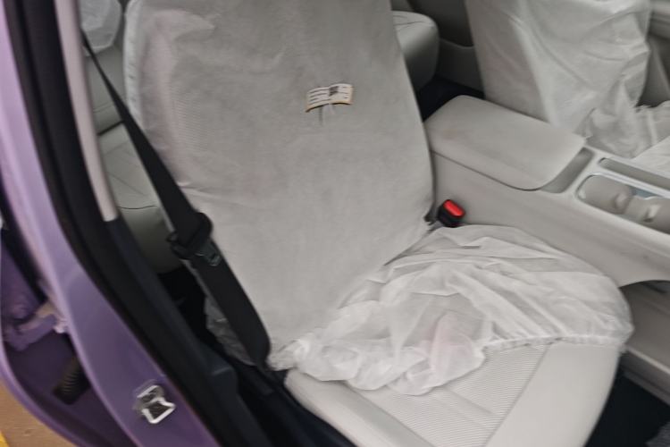 Used Geely Galaxy Geome 2026 Model 310km Youth Edition Right Front Seat