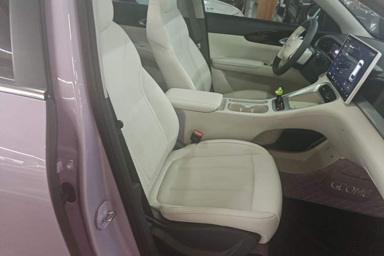 Used Geely Galaxy Geome 2026 Model 410km Exploration Edition Right Front Seat