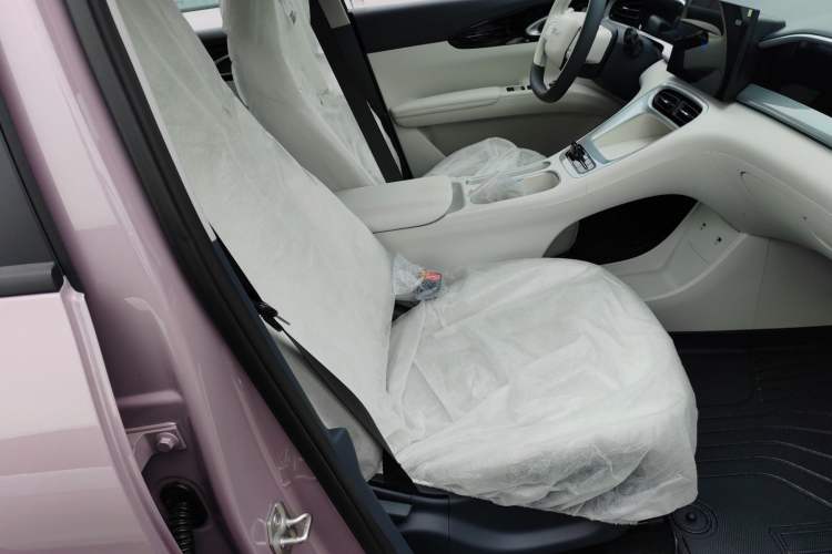 Used Geely Galaxy Geome 2026 Model 310km Youth Edition Right Front Seat