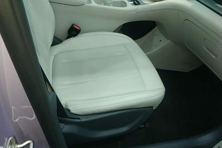 Used Geely Galaxy Geome 2026 Model 410km Exploration Edition Right Front Seat