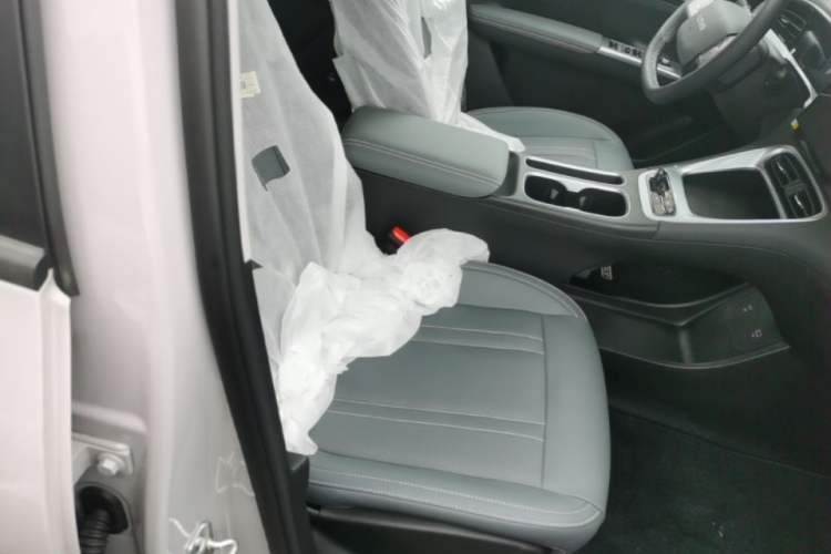 Used Geely Galaxy Geome 2026 Model 310km Dream Edition Right Front Seat