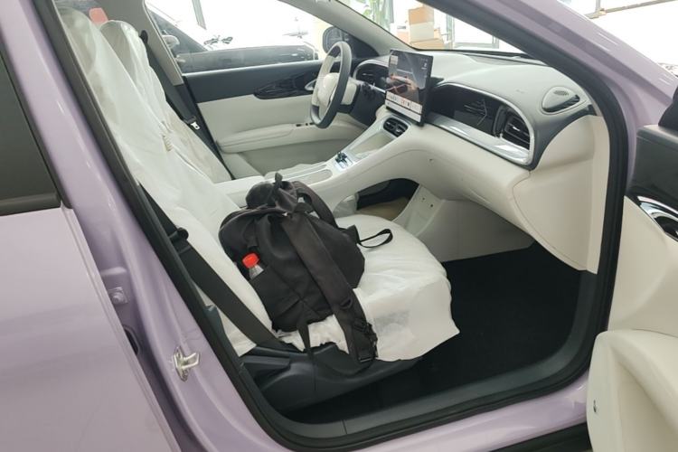 Used Geely Galaxy Geome 2026 Model 310km Dream Edition Right Front Seat