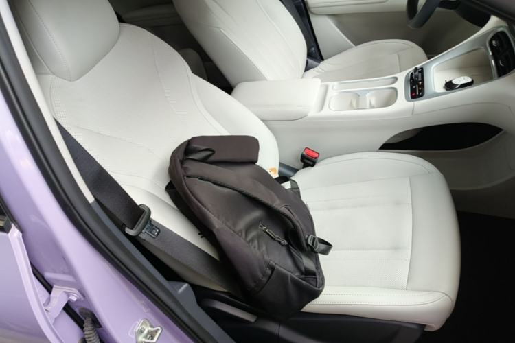 Used Geely Galaxy Geome 2026 Model 410km Exploration Edition Right Front Seat