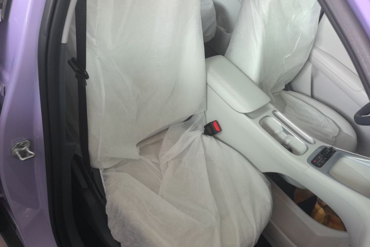 Used Geely Galaxy Geome 2026 Model 310km Dream Edition Right Front Seat
