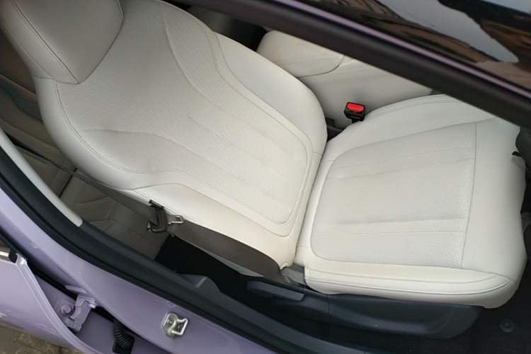 Used Geely Galaxy Geome 2026 Model 410km Exploration Edition Right Front Seat