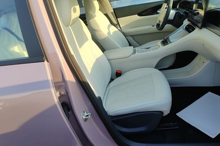 Used Geely Galaxy Geome 2026 Model 310km Dream Edition Right Front Seat