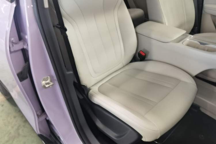 Used Geely Galaxy Geome 2026 Model 410km Exploration Edition Right Front Seat