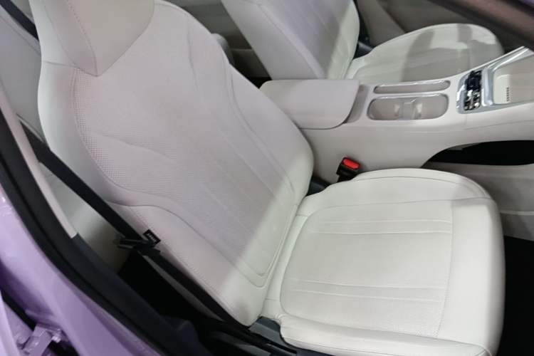 Used Geely Galaxy Geome 2026 Model 410km Exploration Edition Right Front Seat