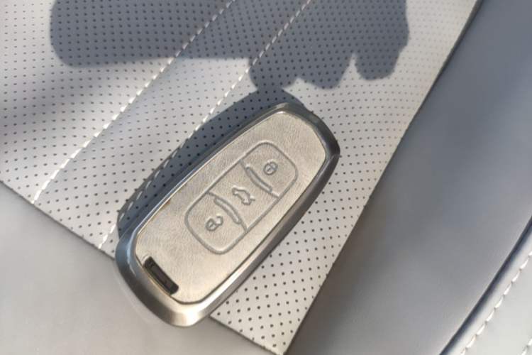 Used Geely Galaxy Geome 2026 Model 410km Carefree Edition Vehicle Key