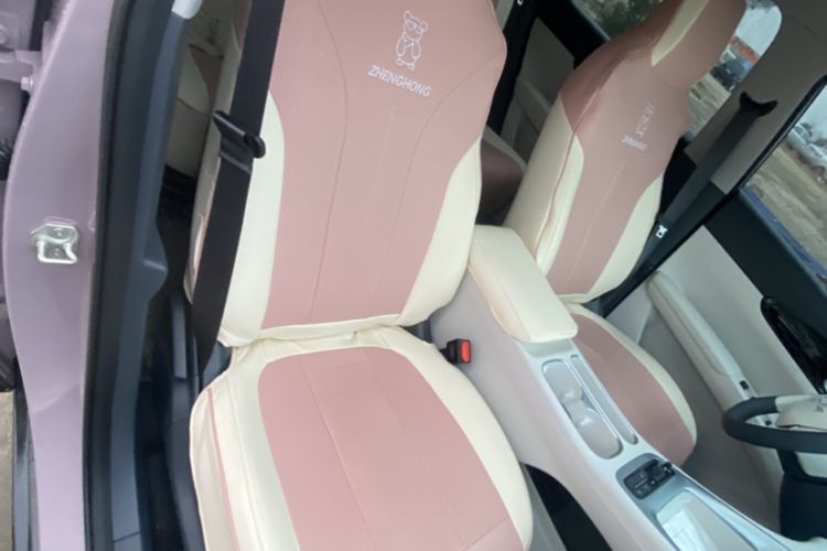 Used Geely Galaxy Geome 2026 Model 310km Youth Edition Interior 9