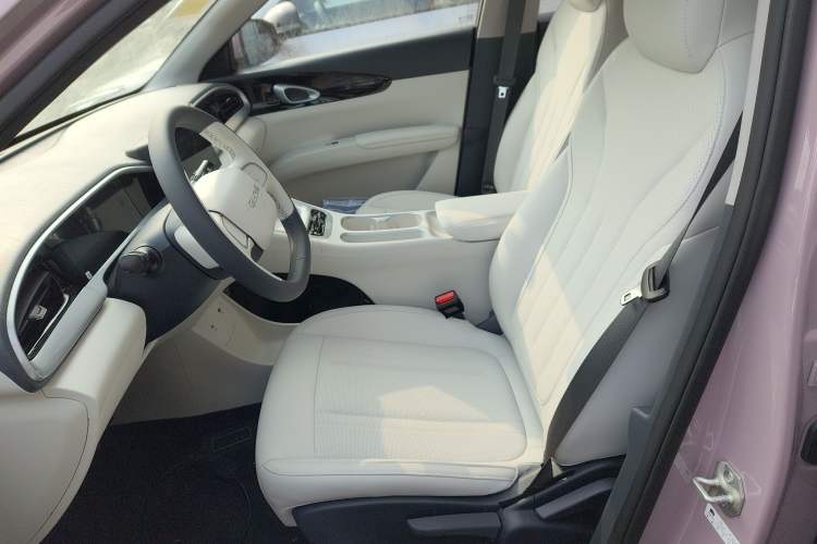 Used Geely Galaxy Geome 2026 Model 310km Youth Edition Left Front Seat