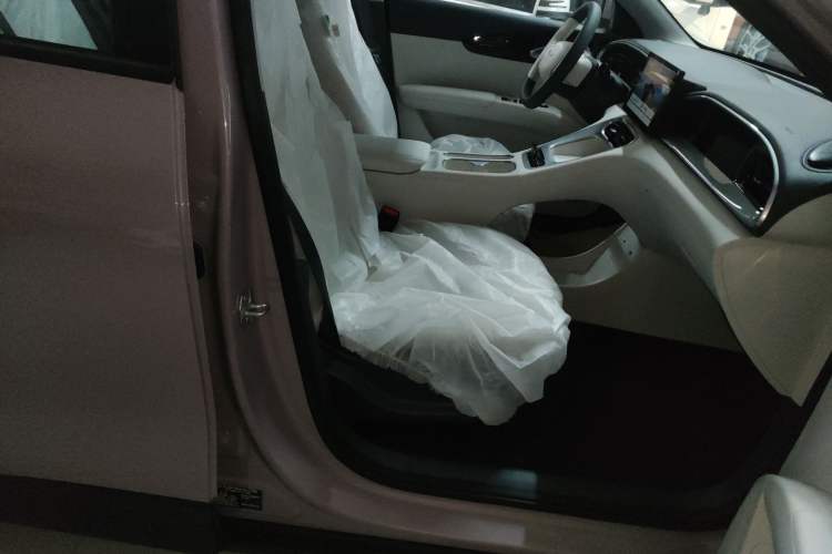 Used Geely Galaxy Geome 2026 Model 310km Youth Edition Right Front Seat