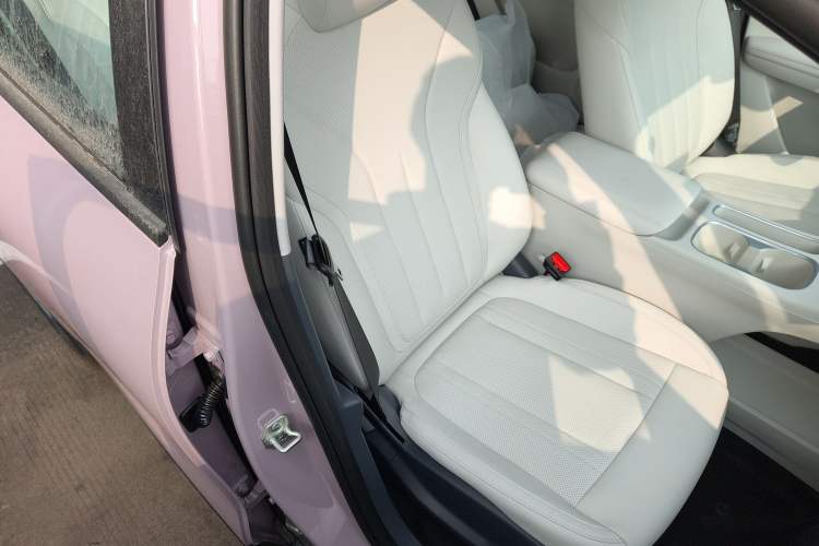 Used Geely Galaxy Geome 2026 Model 310km Youth Edition Right Front Seat