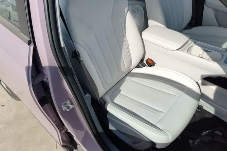 Used Geely Galaxy Geome 2026 Model 310km Youth Edition Right Front Seat
