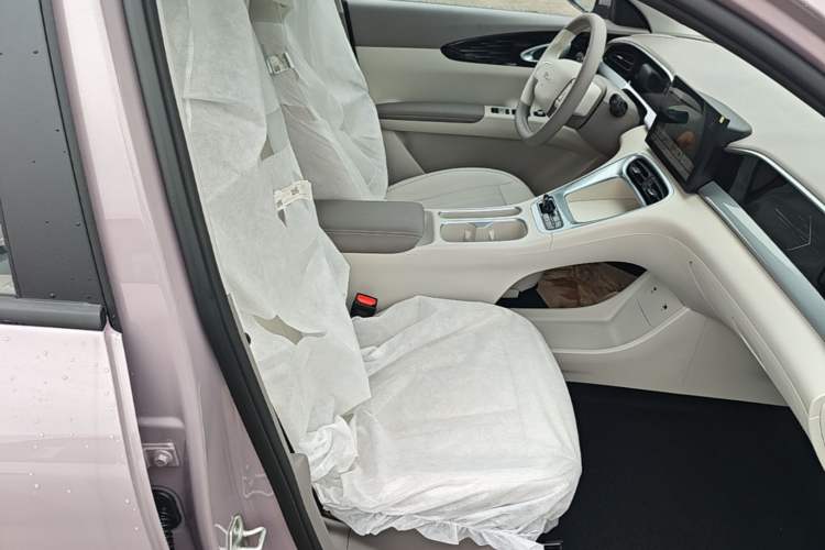Used Geely Galaxy Geome 2026 410km Aspiration Edition Right Front Seat