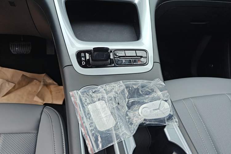 Used Geely Galaxy Geome 2026 Model 310km Youth Edition Gear Lever