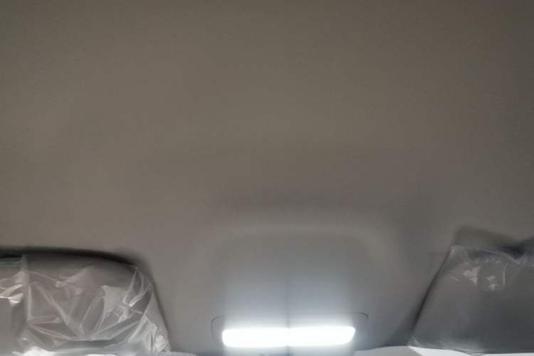 Used Geely Galaxy Geome 2026 Model 310km Youth Edition Headliner
