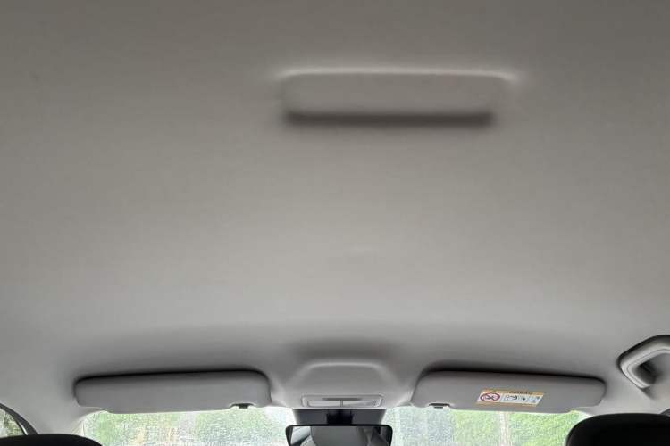 Used Geely Galaxy Geome 2026 Model 410km Freedom Edition Headliner
