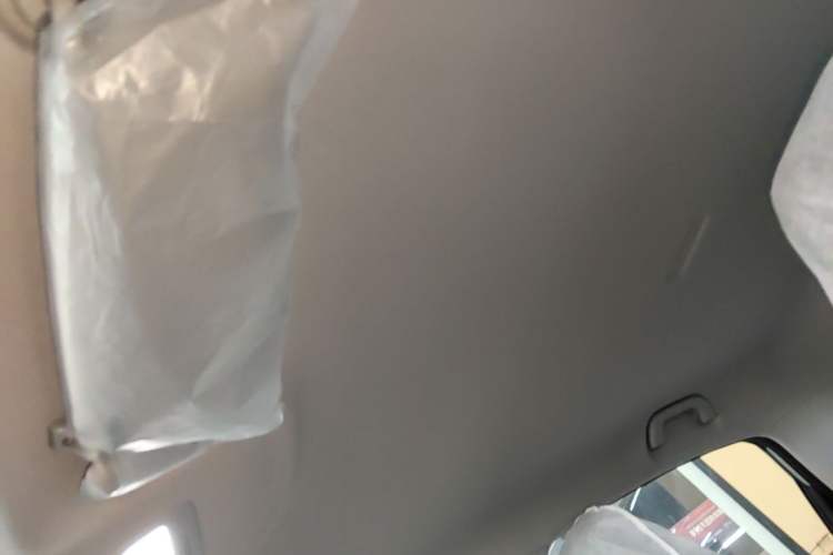 Used Geely Galaxy Geome 2026 Model 310km Youth Edition Headliner