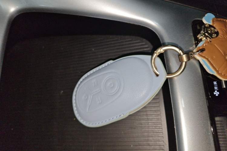 Used Geely Galaxy Geome 2026 Model 310km Youth Edition Interior 1
