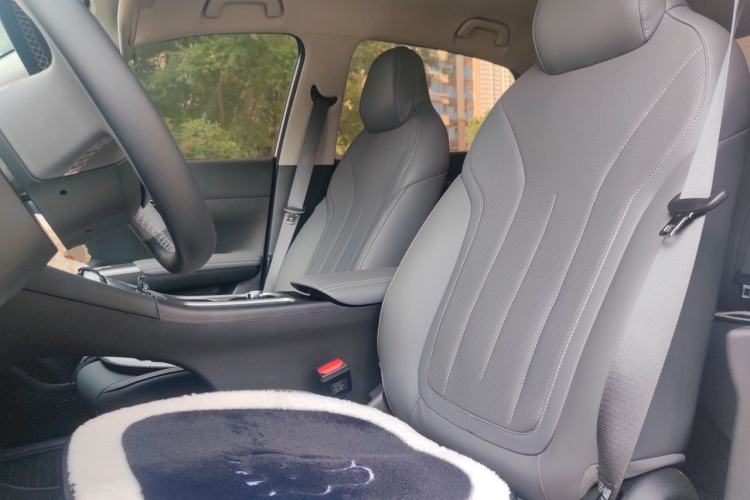 Used Geely Galaxy Geome 2026 Model 310km Dream Edition Left Front Seat