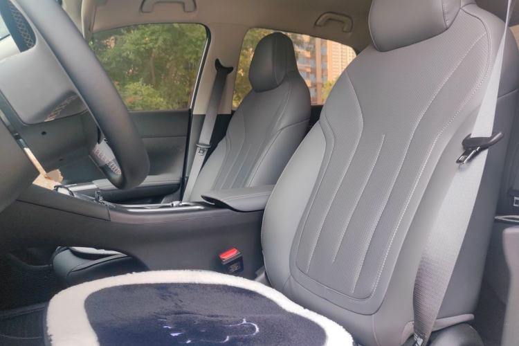Used Geely Galaxy Geome 2026 Model 310km Dream Edition Left Front Seat