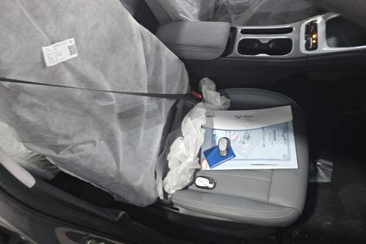 Used Geely Galaxy Geome 2026 Model 310km Youth Edition Right Front Seat