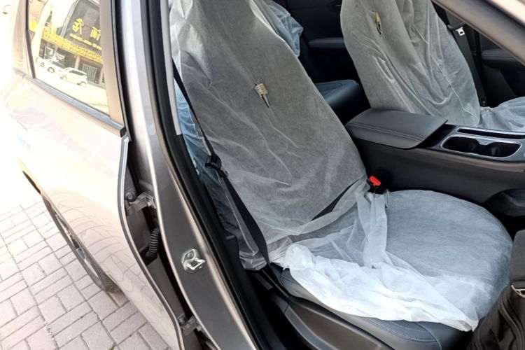 Used Geely Galaxy Geome 2026 Model 310km Dream Edition Right Front Seat