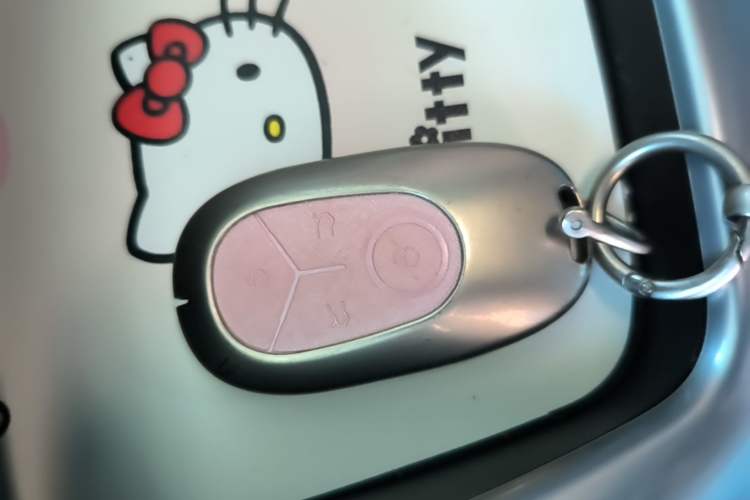 Used Geely Galaxy Geome 2026 Model 310km Dream Edition Vehicle Key
