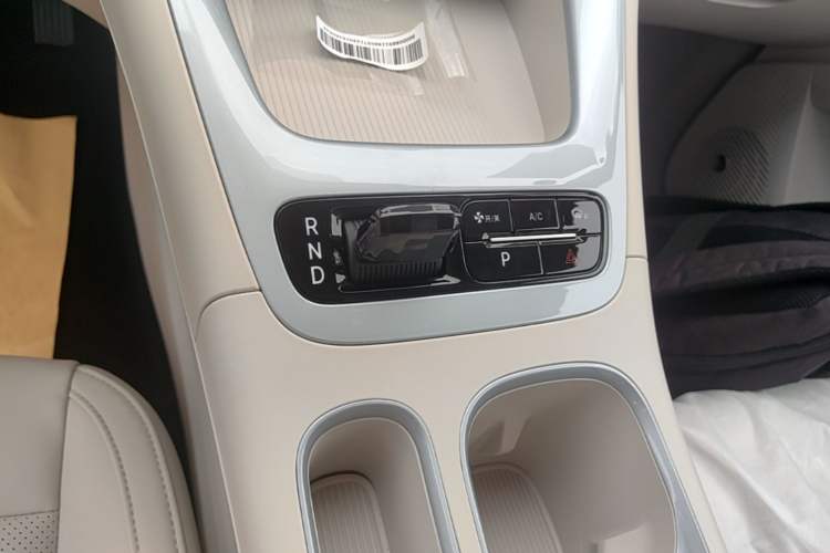 Used Geely Galaxy Geome 2026 410km Aspiration Edition Gear Lever
