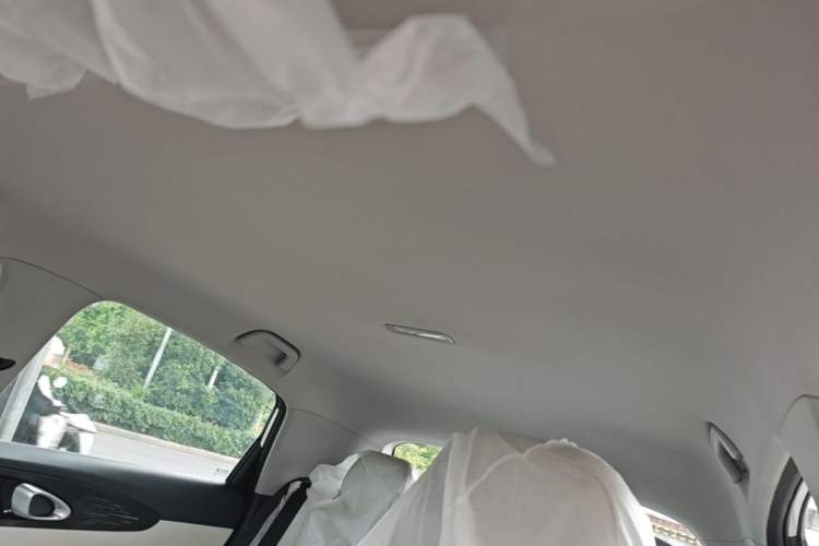 Used Geely Galaxy Geome 2026 Model 310km Dream Edition Headliner
