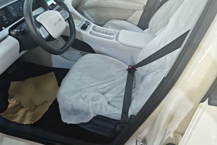 Used Geely Galaxy Geome 2026 Model 410km Carefree Edition Left Front Seat