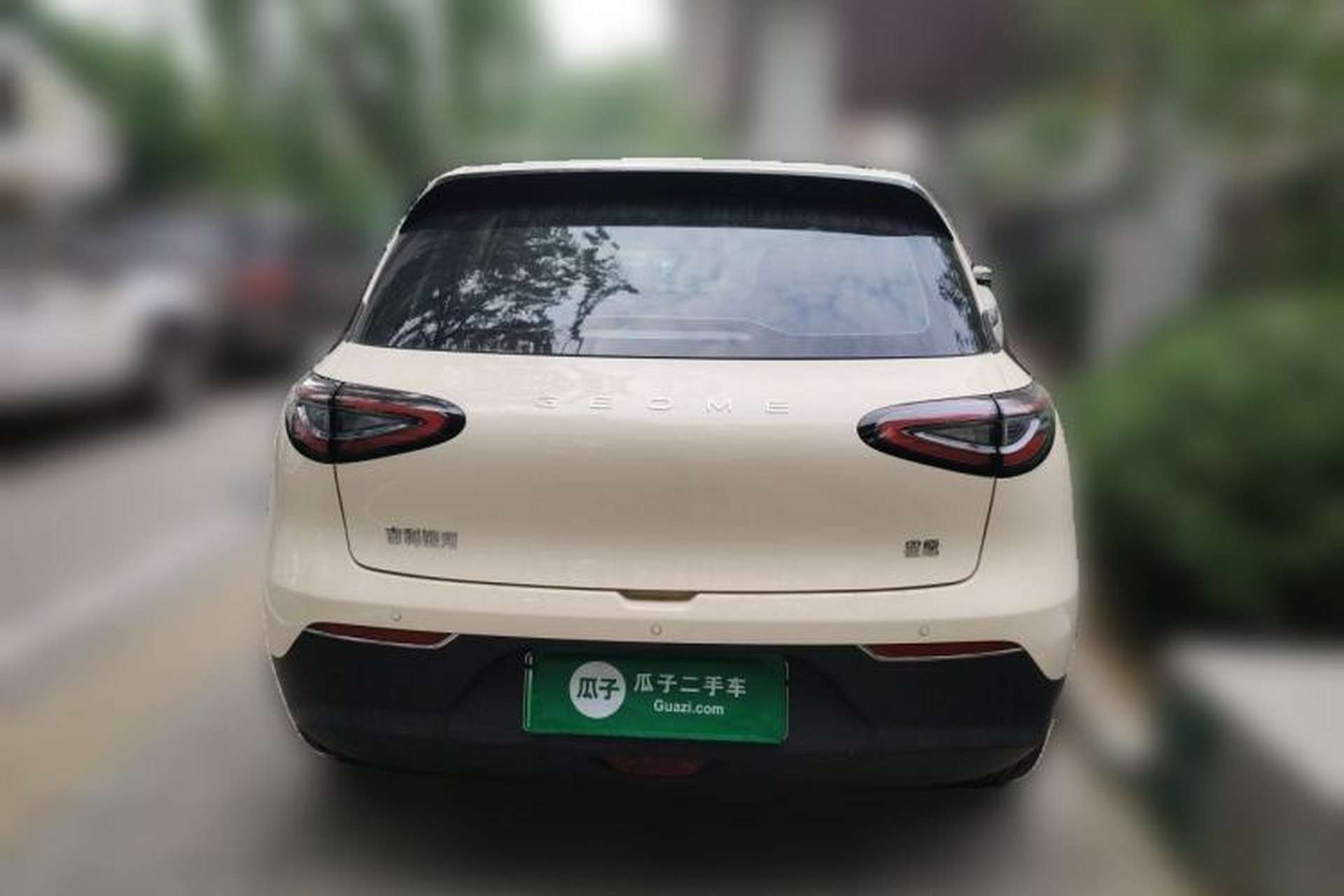 Used Geely Galaxy Geome 2026 Model 310km Dream Edition Rear