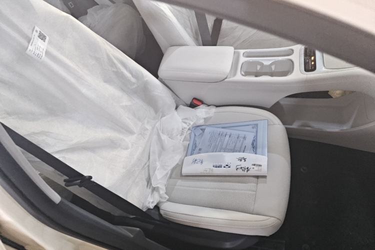 Used Geely Galaxy Geome 2026 Model 410km Carefree Edition Right Front Seat